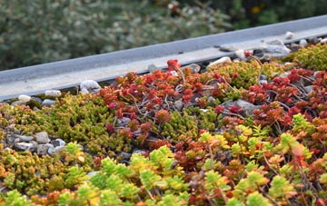 the cost of Brent Mill green roof installation