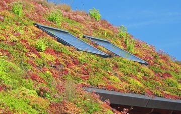 Brent Mill living roof systems