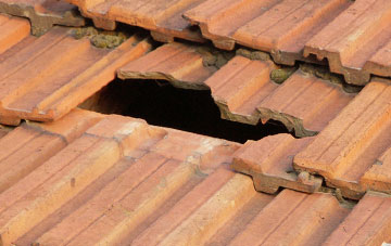 roof repair Brent Mill, Devon